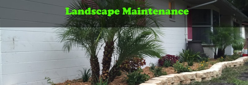 Landscape Maintenance Ormond Beach, FL